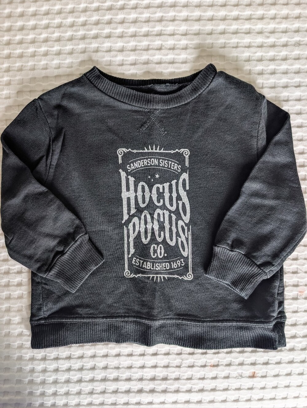 June And Grey Hocus Pocus Halloween Sweatshirt